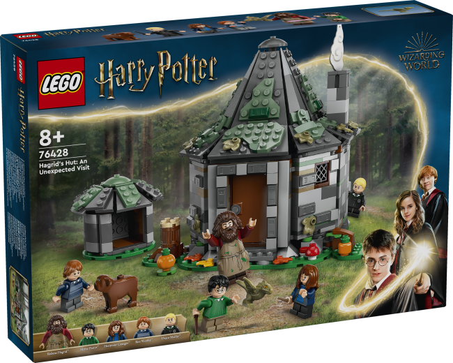 LEGO Harry Potter 76 XS Rota lietas